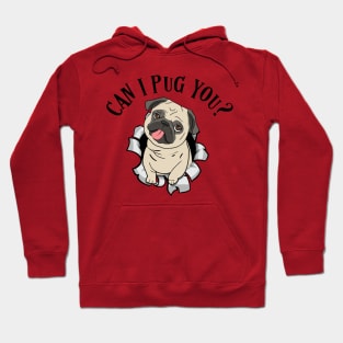 Can I pug you? Hoodie